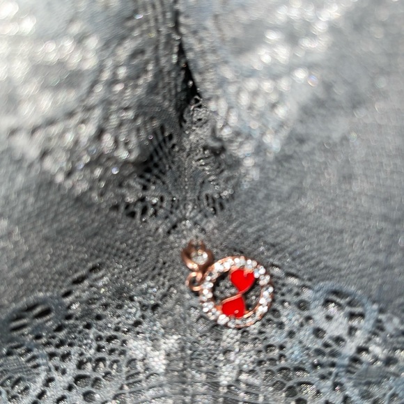 FallSweet padded push up bra NWT gray 42B - Picture 3 of 7